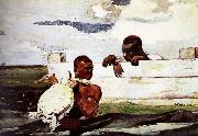 Winslow Homer Turtles captured in Spain oil painting artist